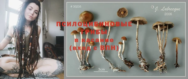 не бодяженный Алзамай