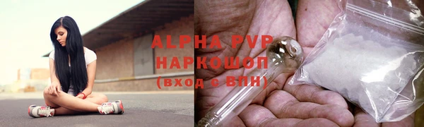 винт Лабытнанги