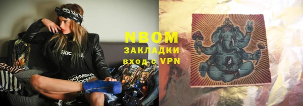 индика Ладушкин