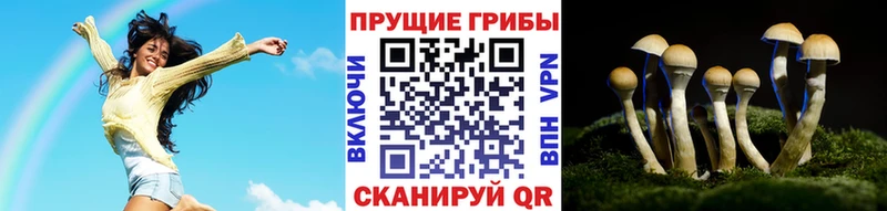 Галлюциногенные грибы MAGIC MUSHROOMS  Апатиты 
